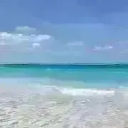 Sea‪ꕀ꙳プロフ必読の画像