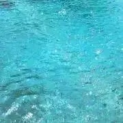 kppの画像