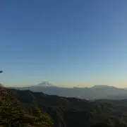 アロマイルド （酵母エキス) 粉末 【10個】 - メルカリ