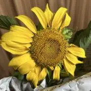 まさこの画像