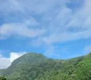 14の画像