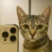しゃけ♡の画像