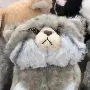 まとめ買い割引　にゃの画像