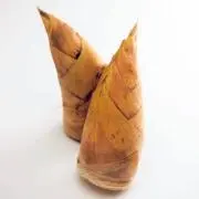 タケノコちゃん