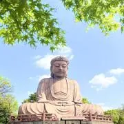 水牛