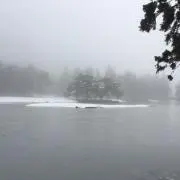 ヤト