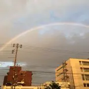 M Yの画像
