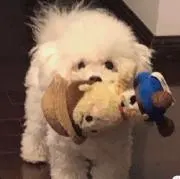 どんぐりの画像