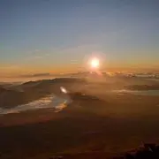 馬骨の画像