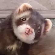 あくび