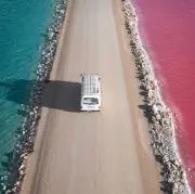 FRUの画像