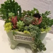 ぽちろう。
