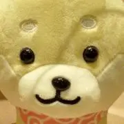 ワンにゃんコの画像