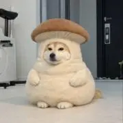 測定しませんの画像