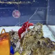たなかの画像