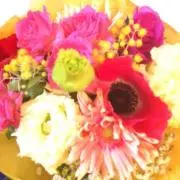みっきーね