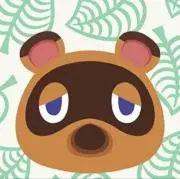 たぬきの画像
