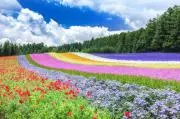 S-yoshimuraの画像