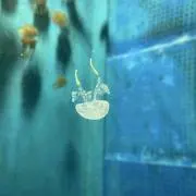う 断捨離中の画像