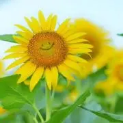 いずみん♪♪の画像