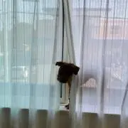shiroiishiの画像