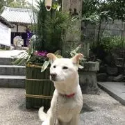 まる
