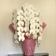 カントリーの画像