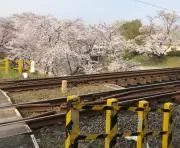 murakkyの画像