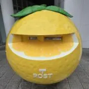 なつ　即購入可の画像