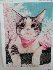 とらねこの画像