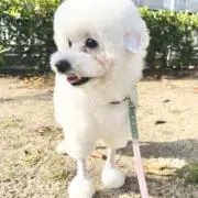 うにちゃん。8月20~25日発送お休みの画像