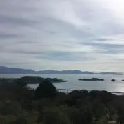 Healthy Sunnyの画像