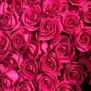 to~shining