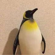 Yu.mの画像