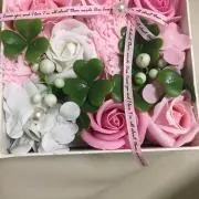 RanRan!の画像