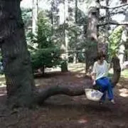 mamamamamの画像