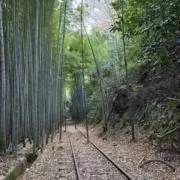 ハーゲン