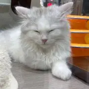 ゆう