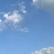 rinrinの画像