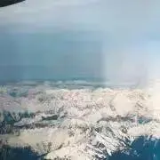 MIDORIの画像