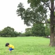 hideの画像