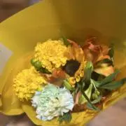 cocoの画像