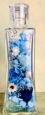 HANAの画像