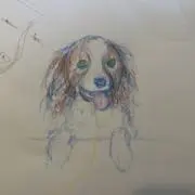 Peiの画像