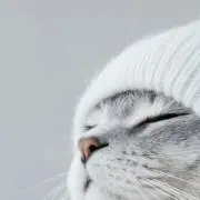 jpwawmの画像