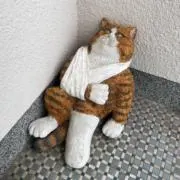 だぶるの画像