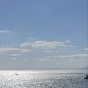 k.の画像