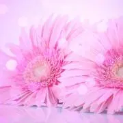 やん＊ご縁がありましたら(*'ω'*)