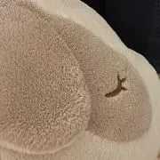 ぽんずの画像