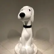 meccoの画像